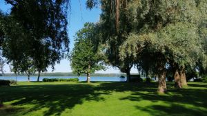Själva parken får inte bli mindre när området utvecklas, betonar de som svarat på enkäten. Stallörsparken med gröna träd och gräsmattor i Ekenäs.
