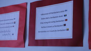 En tavla med texten Välkommen till Stenbackens skola på många olika språk, bl.a. bosniska, svenska och vietnamesiska. Skyltar på nio språk med texten "välkommen till Stenbackens skola".