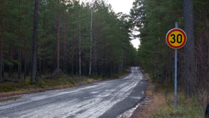 Den delen av Skogbyvägen som löper från den numera stängda plankorsningen är ingen allmän väg. Bilister har kört där på egen risk. En grusväg omringad av skog. Vid vägkanten syns en hastighetsbegräsningsskylt där det står 30.