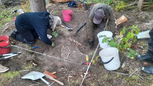Den här gången gräver man bara en liten provgrop, men nästa sommar ska gruppen återvända till platsen. Två personer på huk vid en utgrävningsgrop.