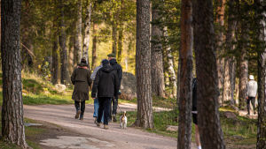 Det har blivit allt vanligare att umgås utomhus. Människor på promenad i Gäddvik i Esbo.