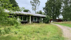 På ön finns en hel del gamla bostäder som inte längre får användas, på grund av bland annat mögelproblem. Ett fallfärdigt hus byggt i brunt trä. En del av huset är inväxt, och runt huset finns massvis gröna växter.
