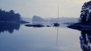 Nattens återkomst! Några minuter senare var det mörkt. Solförmörkelse i juli 1990.
