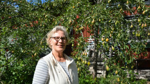 Barbro Bergman-Robertz. En medelålders kvinna står framför ett rött hus och ett päronträd.