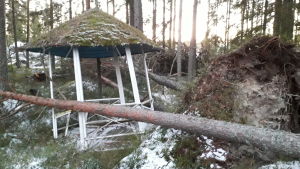 Lusthuset har fått sig en rejäl smäll. Lusthuset har fått sig en rejäl smäll.