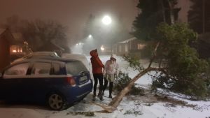 Stormen Alfrida drabbade Åland hårt den andra januari 2019. Två personer står bredvid en bil och ser på en trädgren som nästan blåste över bilen.