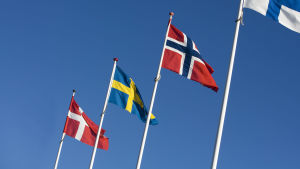 Vilken flagga skulle bli aktuell i en Nordisk förbundsstat? Danmarks, Sveriges, Norges och Finlands flagga i rad.