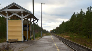 Rälsbussen stannar bland annat i Skogby. En hållplats vid en järnväg. Järnvägen är omringad av skog.
