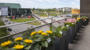 Verket Emigrantgården fortsätter ute på Kiasmas balkong. Härifrån ser man Medborgarplatsen där VRs magasin tidigare låg, ett ställe där homosexuella förr träffades. Foto på Kalle Hamm och Dzamil Kamanger verk Immigrant Garden. Blommor på Kiasmas balkong.