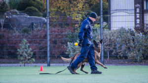 Hundarna är glada när de har utfört sin uppgift. Polis med polishund på sportplan