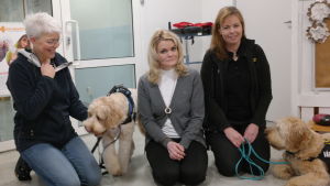 Annika Alopeus, Nona Borgström och Mia Boivie poserar med vårdhundarna Cooper och Hugo. Annika Alopeus, Nona Borgström och Mia Boivie poserar med terapihundarna Cooper och Hugo