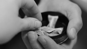 Snus kan inte ensamt kopplas till dödsfall, menar forskning. En hand tar en prilla snus från en dosa som en annan person håller fram.