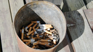 Mentol- och vaniljcigaretterna ska fimpas. Rostig plåthink med cigarettfimpar utomhus.