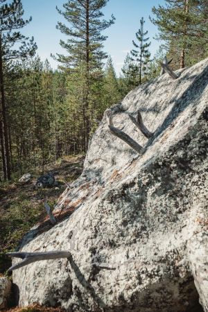 Kivi johon kiinnitettynä sarvia