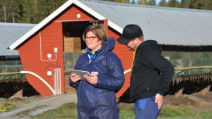 Johanna Korpela tillsammans med en pälsfarmare. Veterinär Johanna Korpela och pälsfarmare Tobias Andersson studerar en surfplatta.