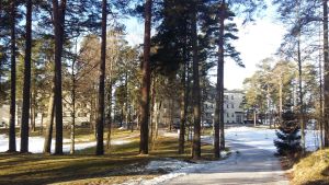 Esperi Hoitokoti Rehabia i Bjärnå. En snöig väg leder mot mentalvårds- och missbrukarhemmet Esperi Hoitokoti Rehabia, en ljusgul byggnad i tre våningar.