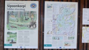 Coronaepidemin har resulterat i ett ökat intresse för natur och mera besökare i skog och mark - inte minst i nationalparkerna. Anslagstavla för Sibbo storskogs nationalpark