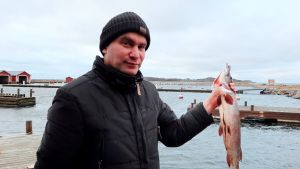 Klas Mattsson sätter hellre pengarna på andra saker än oanvändbar mark. en man står vid en hamn och håller i en död filead gädda