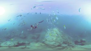 Sukeltaja australialaisella riutalla kalojen keskellä.