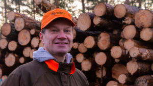 För Ove Simosas blir det få kontorsdagar som revirinstruktör vid Södra skogsreviret i Borgå. Ove Simosas vid stockhög.