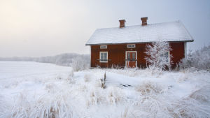 Många välkomnar snön men för många äldre är snöskottning en alltför tung uppgift och då kan gårdskarlen hjälpa till. Rött hus på landet, vinter.