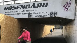 Zlatans citat i Rosengård: "Man kan ta en kille från Rosengård, men man kan inte ta Rosengård från en kille"