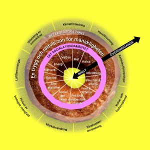 Donutmodellen visar en planet i balans som håller sig inom de sociala och ekologiska gränserna Visualisering av Kate Raworths donutekonomi teori.