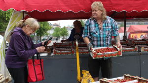 Matti Rissanen säger att priset på jordgubbar stiger varje dag från och med nu. Matti Rissanen, torgförsäljare på Hagnäs torg