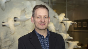 Leif Schulman är oroad hur det ska gå för det finländska skogsbruket ifall det nuvarande certifieringssystemet får fortsätta. Luonnontieteellisen keskusmuseon johtaja Leif Schulman plk