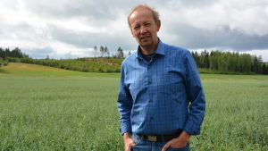 Mårten Nurmio hoppas på en god skörd. Mårten Nurmio står framför sin havreåker.