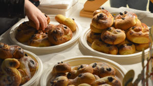 Elever från Ilolan koulu och Sannäs skola får samsas om lussekatterna. ett barn plockar åt sig en lussekatt