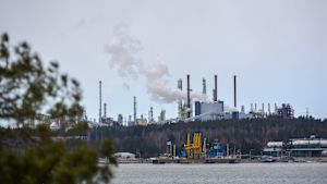 Sköldvik är ett stort område med många företag och massor av anställda som behöver ta sig till jobbet varje dag. Därför ordnar de största företagen, under Nestes ledning, busstransporter för de anställda. Sköldvik hamn med många höga skorstenar. Det kommer vit rök från området. Ett träd syns i förgrunden.