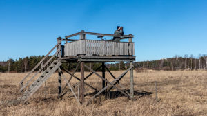 Från fågeltornet i Räfsby är sikten fin ut över Lillängarna. Fågelskådare i fågeltorn.