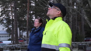 Elina Lücke och Janne Backas ser upp mot entreprenören som kämpar i granens topp. Janne Backas och Elina Lycke skådar upp mot granens topp.