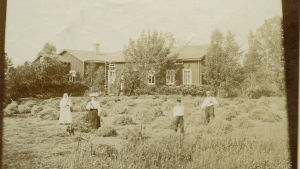 Sysslolöshet var något som man inte såg på med blida ögon. Två kvinnor och två män räfsar hö utanför ett boningshus. 1800-1920-tal.