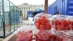 Tomater i alla former finns att få på Senatstorget under Popup Österbotten. Popup Österbotten fyller Senatstorget i juni 2015