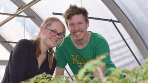 Runa-Linn Silander och John Silander har drygt 3 000 tomatplantor i växthuset i Bromarv. En kvinna och en man i ett växthus. Man kan se lite av några tomatplantor framför dem.