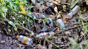 Efter att plastpåsarna försvann märks nu plastflaskorna allt bättre. Det används kring 50 miljoner plastflaskor i Kenya årligen. Tomma plastflaskor slängda i naturen i Kenya