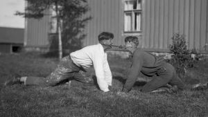 "Dra pissmyra", Terjärv 1932. Två män leker leken "Dra pissmyra". Bilden är tagen 1932 i Terjärv.