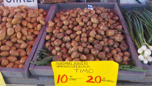 Nypotatis från växthus på Salutorget i Helsingfors. Nypotatis från växthus på torget.