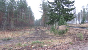 Förbindelsevägen till den planskilda korsningen i Svedja ska byggas strax norr om järnvägen.