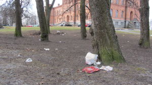 I Hovrättsparken i Vasa finns det mycket skräp efter firandet Nedskräpningen efter första maj firandet i Vasa