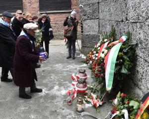 Tidigare Auschwitzfångar vid den så kallade dödsväggen på 70-årsdagen av befrielsen.