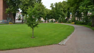 runebergsparken 2015