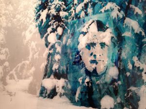 tomas colbengtson: forest ahkka (detalj, 2015)