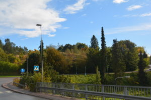Stationsbacken vid Karis järnvägsstation.