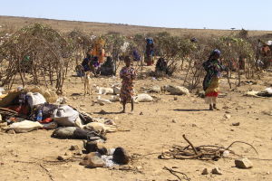 klimatflyktingar i somaliland