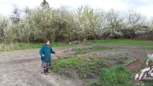 Maria Petrovna vid sitt jordgubbsland och sina körsbärsträd Maria Petrovna vid sitt jordgubbsland och sina körsbärsträd