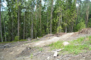 Ny terrängcyklingsbana i Fiskars.