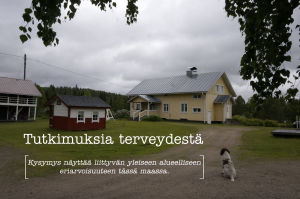 Pohjoiskarjalainen pihamaisema, talo ja koira